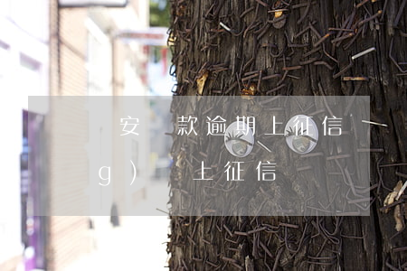 眾安貸款逾期上征信嗎(眾安保險網(wǎng)貸上征信嗎)