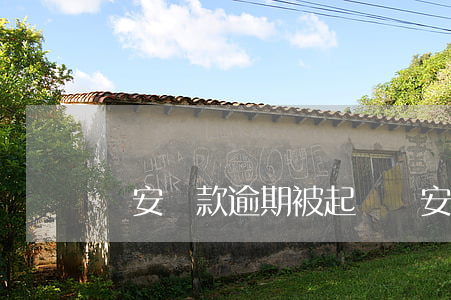 眾安貸款逾期被起訴(眾安金融要起訴怎么辦)