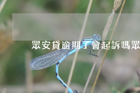 眾安貸逾期了會起訴嗎(眾安金融逾期)