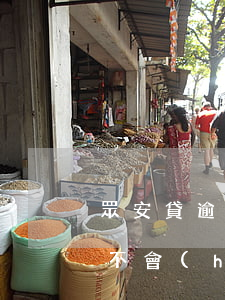 眾安貸逾期十天會(huì)會(huì)不會(huì)上征信-眾安貸逾期十天會(huì)會(huì)不會(huì)上征信報(bào)告