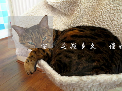 眾安貸逾期多久會催收上門(眾安逾期會起訴嗎)