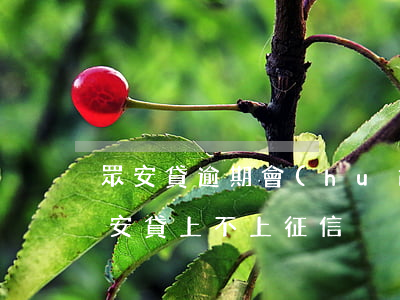 眾安貸逾期會(huì)起訴嗎上征信嗎(眾安貸上不上征信)