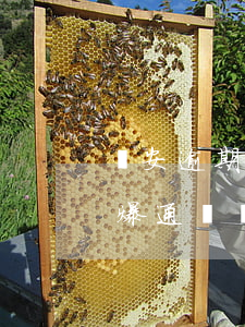 眾安逾期三天爆通訊錄怎么辦(眾安逾期三天爆通訊錄怎么辦)