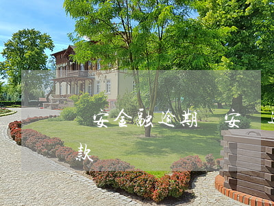 眾安金融逾期（眾安貸逾期了可以辦理延期還款嗎）
