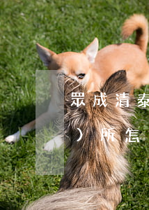 眾成清泰律師口碑(眾成清泰律師事務(wù)所怎么樣)
