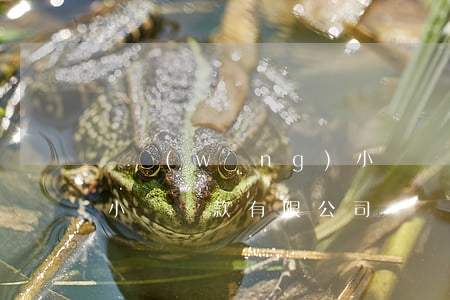 眾網(wǎng)小額貸，眾網(wǎng)小額貸款有限公司