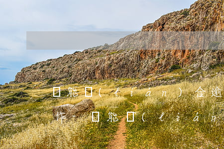 眾能聯(lián)合逾期多少天會中止合作-眾能聯(lián)合怎么樣