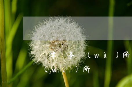 眾華律師事務(wù)所怎么樣(眾律律師事務(wù)所)