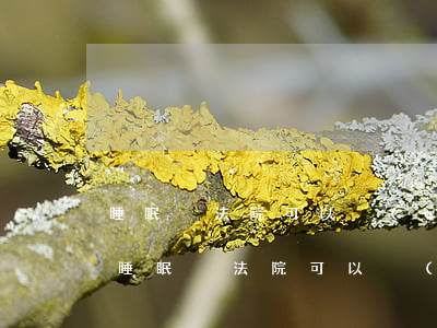睡眠戶法院可以強(qiáng)制扣劃嗎(睡眠戶法院可以強(qiáng)制扣劃嗎)