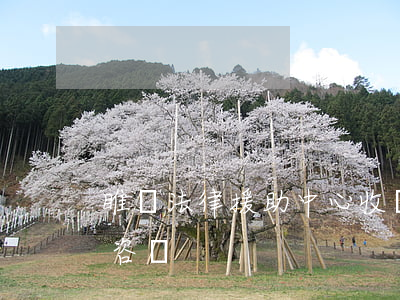 睢寧法律援助中心收費嗎?(徐州法律援助免費咨詢)