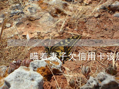 瞒着妻子欠信用卡该原谅吗