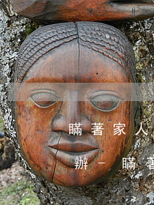 瞞著家人欠了網(wǎng)貸信用卡怎么辦-瞞著家人欠了網(wǎng)貸信用卡怎么辦理