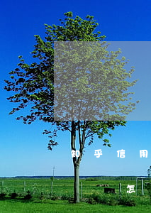 知乎信用卡多張嚴(yán)重逾期無力償還該怎么辦-知乎信用卡多張嚴(yán)重逾期無力償還該怎么辦