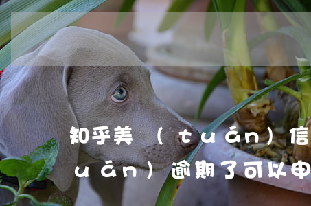 知乎美團(tuán)信用卡逾期(美團(tuán)逾期了可以申請信用卡嗎)