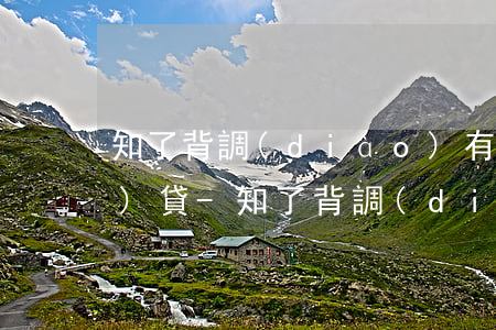 知了背調(diào)有欠過網(wǎng)貸-知了背調(diào)可以查出網(wǎng)貸逾期嗎