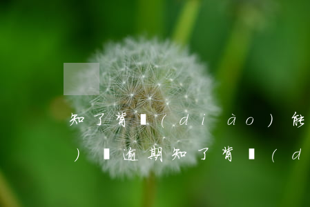 知了背調(diào)能查出網(wǎng)貸逾期(知了背調(diào)能查出網(wǎng)貸逾期)