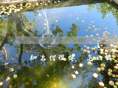 知名代理律師怎么收費(律師代理費的收費標準)