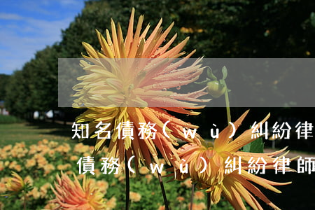知名債務(wù)糾紛律師價(jià)格 債務(wù)糾紛律師事務(wù)所收費(fèi)標(biāo)準(zhǔn)