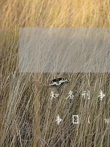 知名刑事律師事務(wù)所(知名刑事律師事務(wù)所)