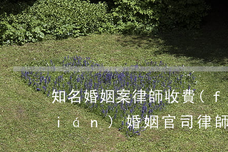 知名婚姻案律師收費(fèi)多少錢(qián)(婚姻官司律師費(fèi)多少錢(qián))
