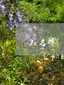 知名拆遷律師事務(wù)所(哪里有拆遷專業(yè)律師)