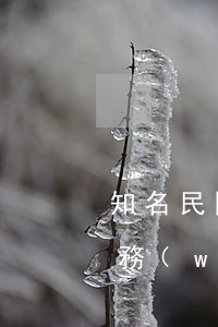 知名民間借貸糾紛律師(北京民間借貸律師事務(wù)所)