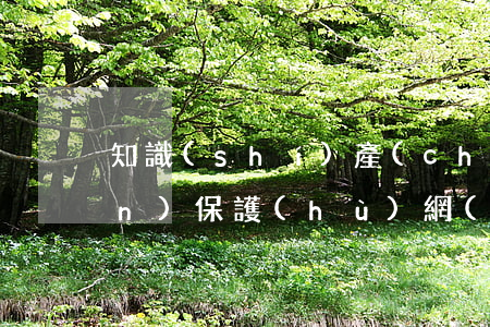 知識(shí)產(chǎn)權(quán)保護(hù)網(wǎng)(知識(shí)產(chǎn)權(quán)相關(guān)法律保護(hù))