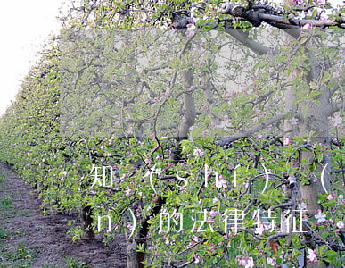 知識(shí)產(chǎn)權(quán)的法律特征