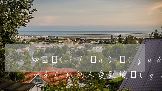 知識產(chǎn)權(quán)權(quán)利人受到侵權(quán)后解決的措施是什么