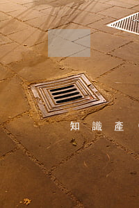 知識產(chǎn)權(quán)論文