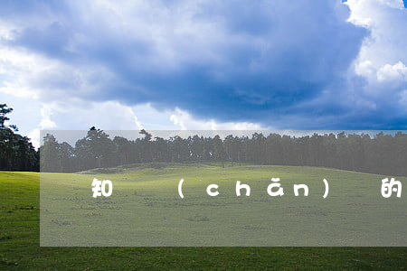 知識產(chǎn)權的概念?。?！