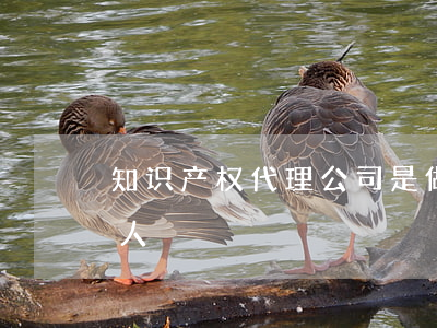 知识产权代理公司是做什么的（知识产权代理人）