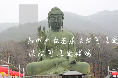 知识产权基层法院可以受理吗(知识产权基层法院可以受理吗)
