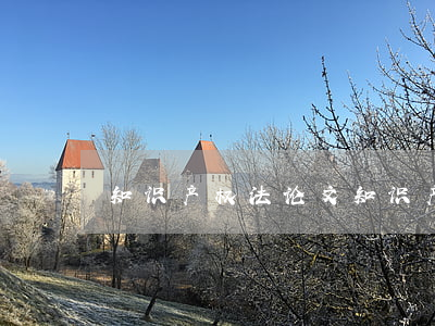 知识产权法论文(知识产权法论文5000字)