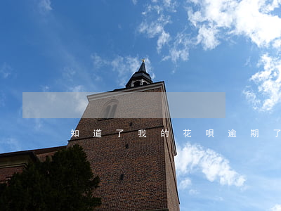 知道了我的花唄逾期了英文