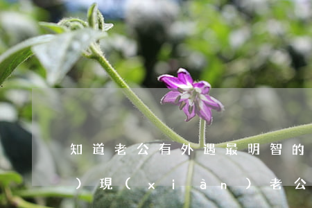 知道老公有外遇最明智的做法(如果發(fā)現(xiàn)老公有外遇該怎么辦)