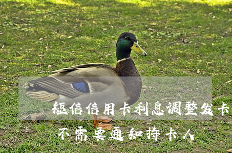 短信信用卡利息调整(发卡行调整信用卡利率不需要通知持卡人)