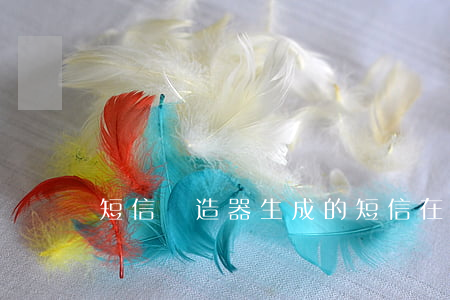 短信偽造器生成的短信在哪里(短信偽造工具)