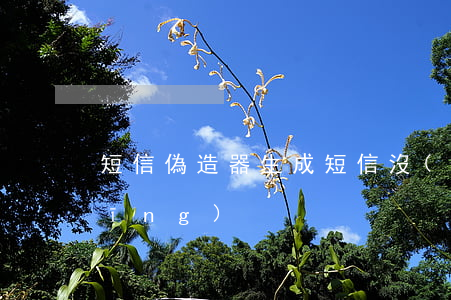 短信偽造器生成短信沒(méi)反應(yīng)
