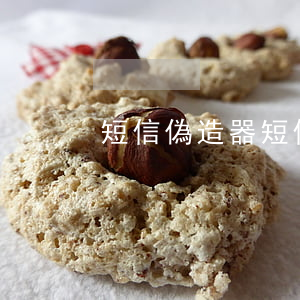 短信偽造器(短信偽造器最新版)