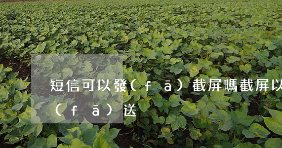 短信可以發(fā)截屏嗎(截屏以后怎么發(fā)送)