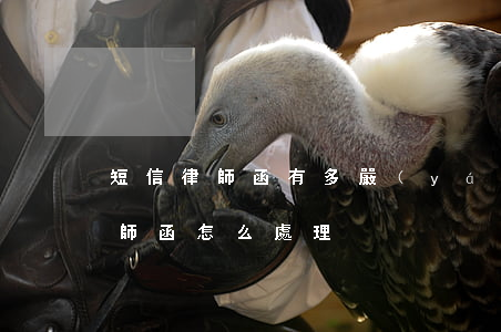 短信律師函有多嚴(yán)重(收到短信律師函怎么處理)