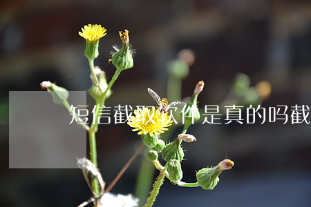 短信截取软件是真的吗(截取手机短信)