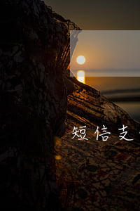 短信支付款逾期(支付寶逾期短信通知起訴)