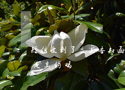 短信收到了立案告知函(短信收到诉讼告知函是真的吗??)