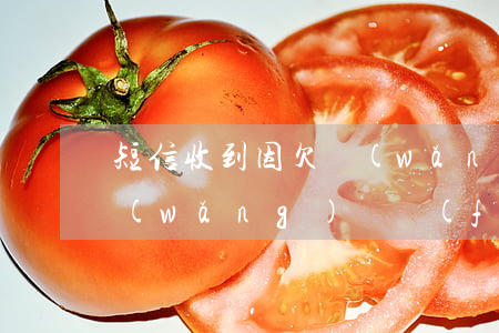 短信收到因欠網(wǎng)貸被起訴(欠網(wǎng)貸發(fā)短信說要起訴我是真的嗎)