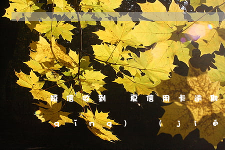 短信收到華夏信用卡逾期(華夏信用卡申請(qǐng)結(jié)果一般幾天能收到短信)