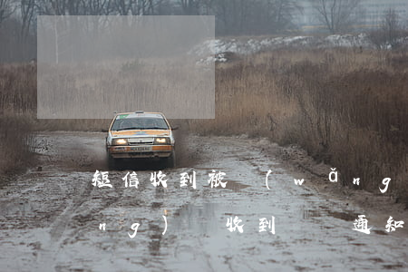 短信收到被網(wǎng)貸起訴(網(wǎng)貸收到訴訟通知短信)