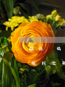 短信沒收到貸款逾期(自己沒有貸款為什么會收到逾期的短信)