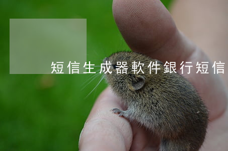 短信生成器軟件(銀行短信生成軟件)